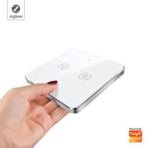 Wireless Scene Switch 2gang ZigBee Battery Switch smart network switch