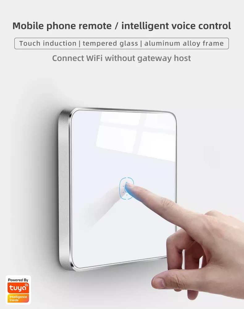 220v smart switch