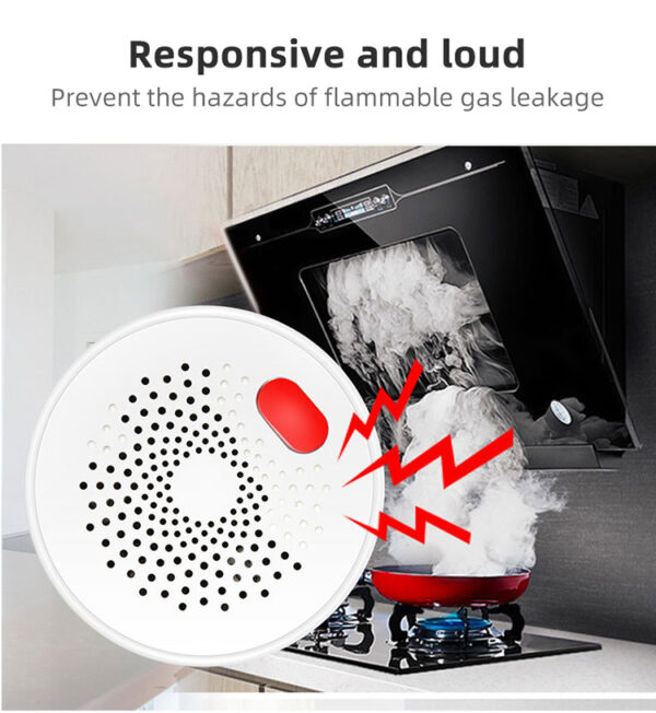 Smart Wi-Fi Combustible gas alarm - Image 11