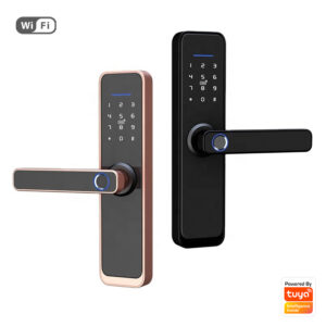 Smart Wi-Fi Wooden door lock